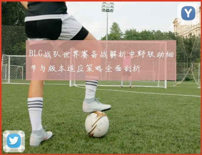 BLG战队世界赛备战解析中野联动细节与版本适应策略全面剖析